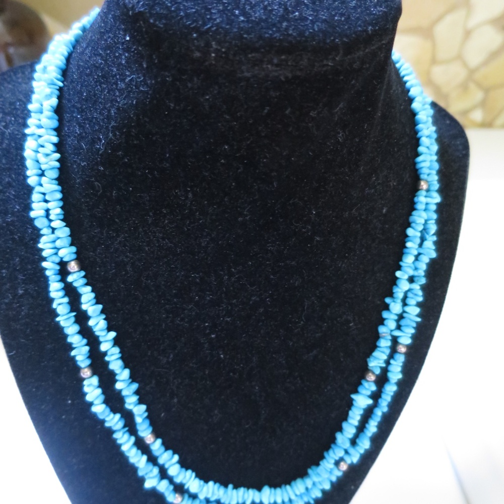 Mine Finds by Jay King Dtr 2 Strand Blue Sleeping Beauty Turquoise Necklace